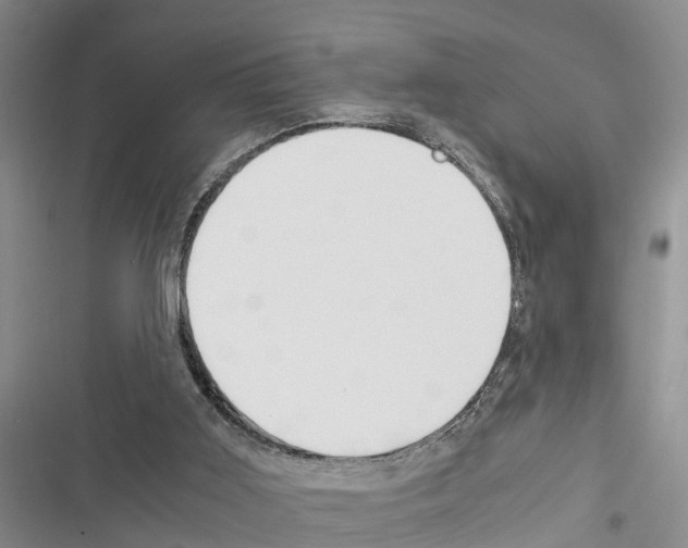 X0000116370011201001131757