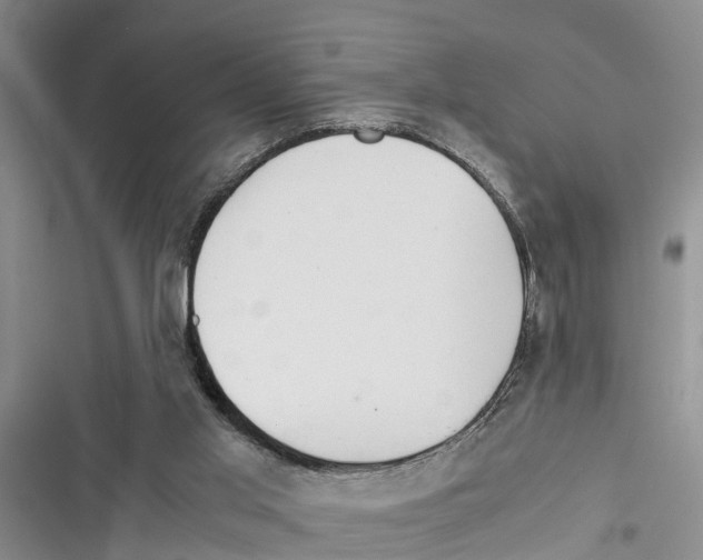 X0000116370013201001131757