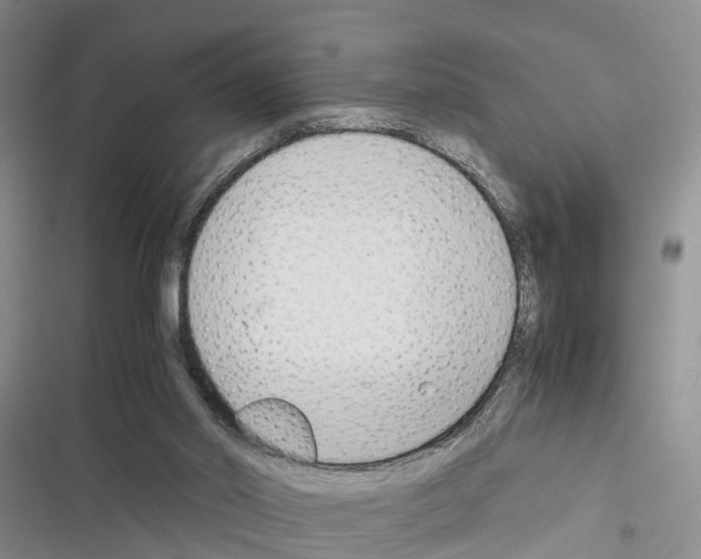 X0000116370014201001131757