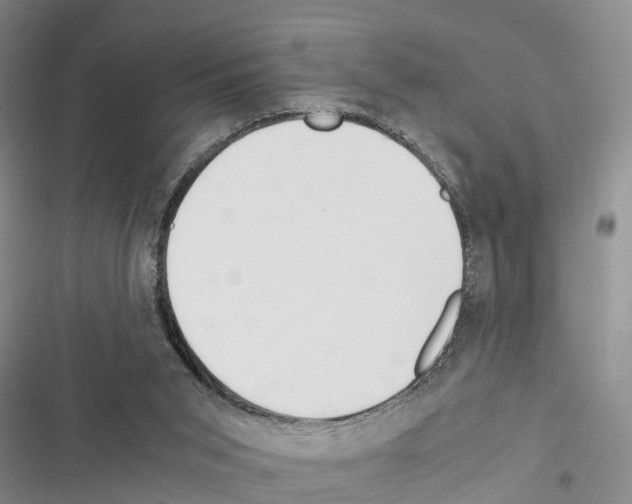 X0000116370015201001131757