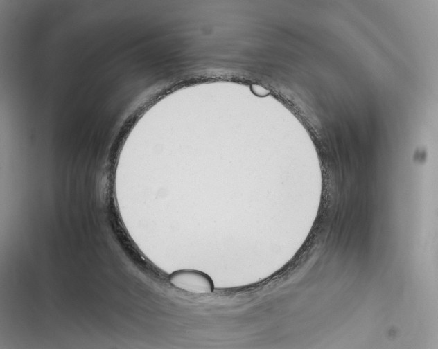 X0000116370016201001131757