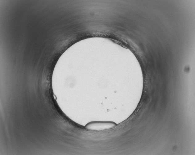 X0000116370017201001131757