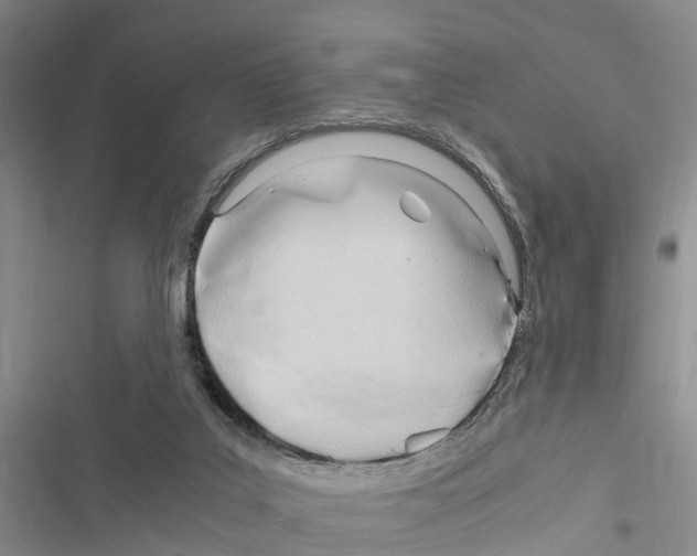 X0000116370019201001131757