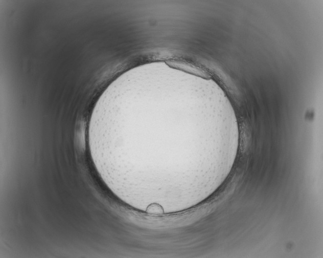 X0000116370022201001131757