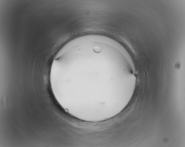 X0000116370023201001131757