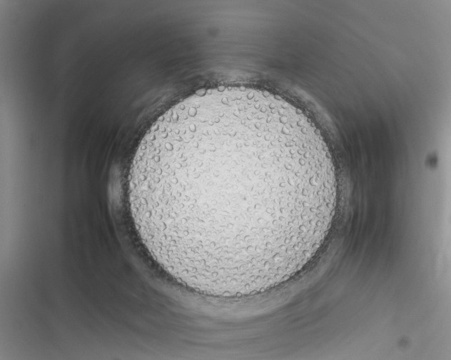 X0000116370026201001131757