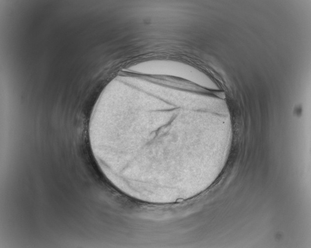 X0000116370029201001131757