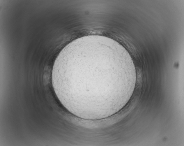 X0000116370030201001131757