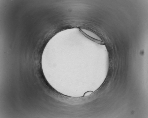 X0000116370031201001131757