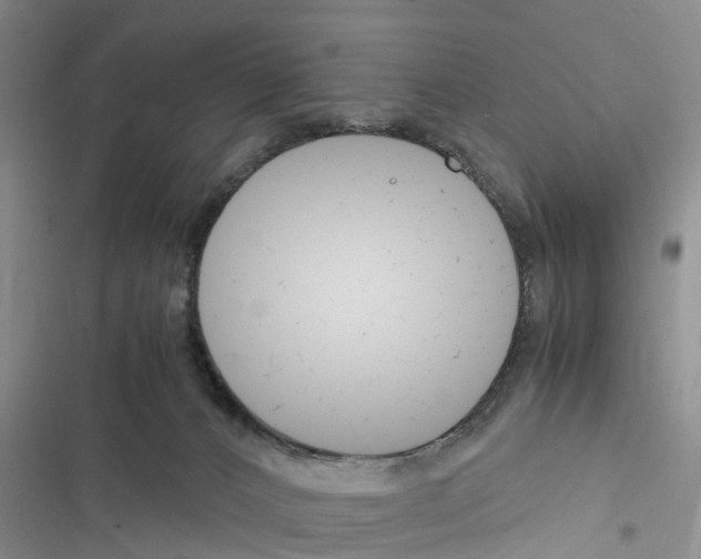 X0000116370032201001131757