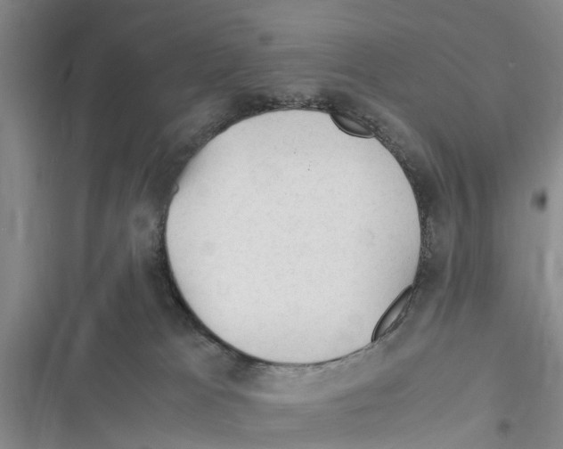 X0000116370037201001131757