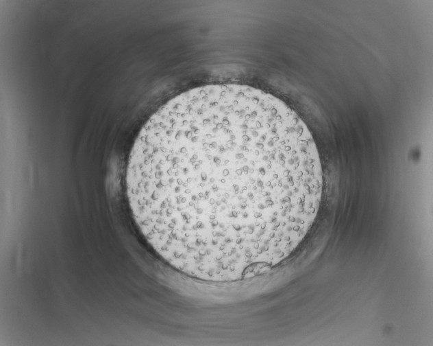 X0000116370038201001131757