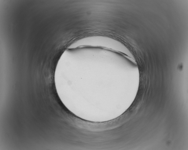 X0000116370039201001131757