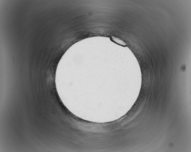 X0000116370040201001131757