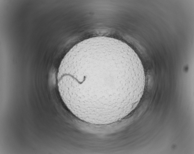 X0000116370042201001131757