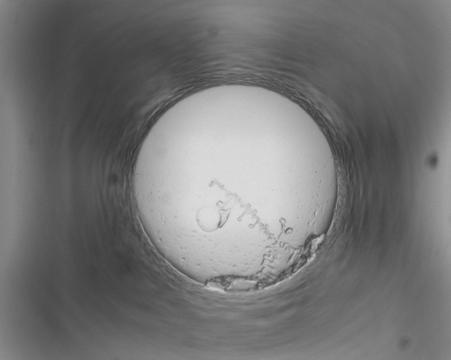 X0000116370043201001131757