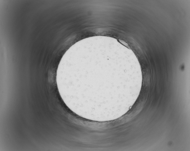 X0000116370044201001131756