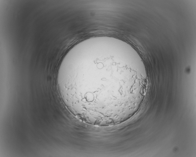 X0000116370045201001131756