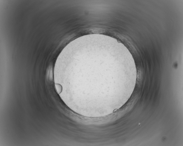 X0000116370046201001131756