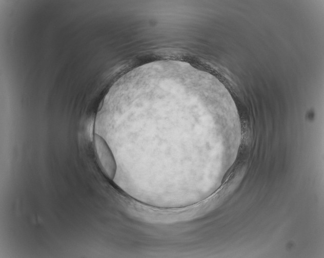 X0000116370047201001131756