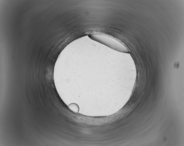 X0000116370048201001131756