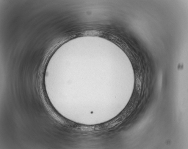 X0000116370049201001131756