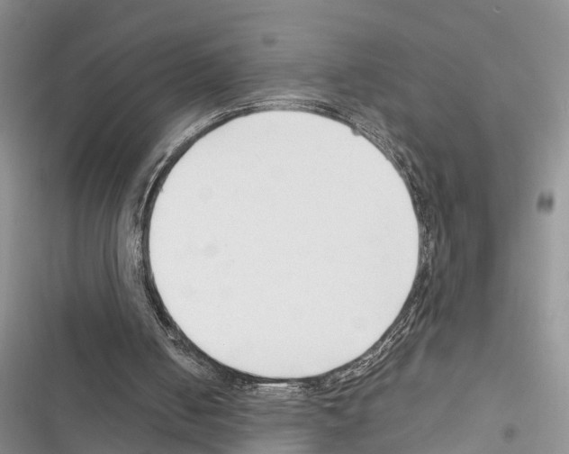 X0000116370050201001131756