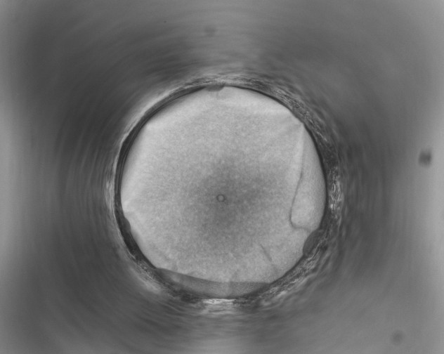 X0000116370052201001131756