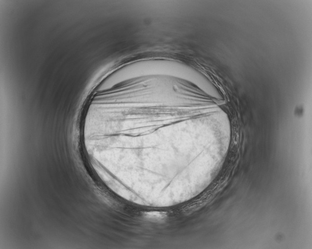 X0000116370053201001131756