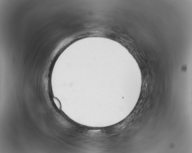 X0000116370054201001131756