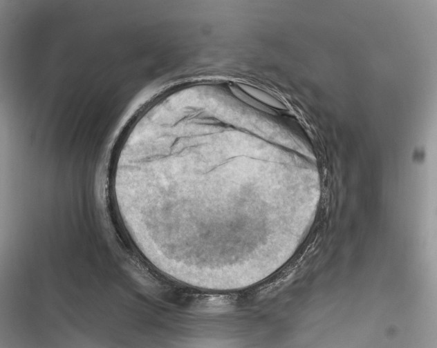 X0000116370056201001131756