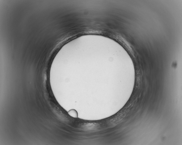 X0000116370059201001131756