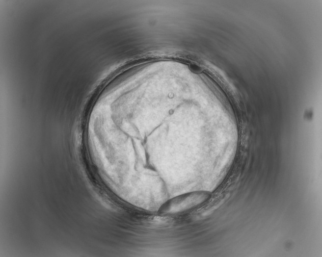 X0000116370060201001131756