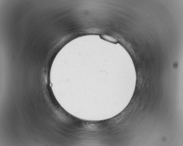 X0000116370062201001131756