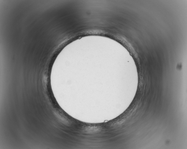 X0000116370063201001131756