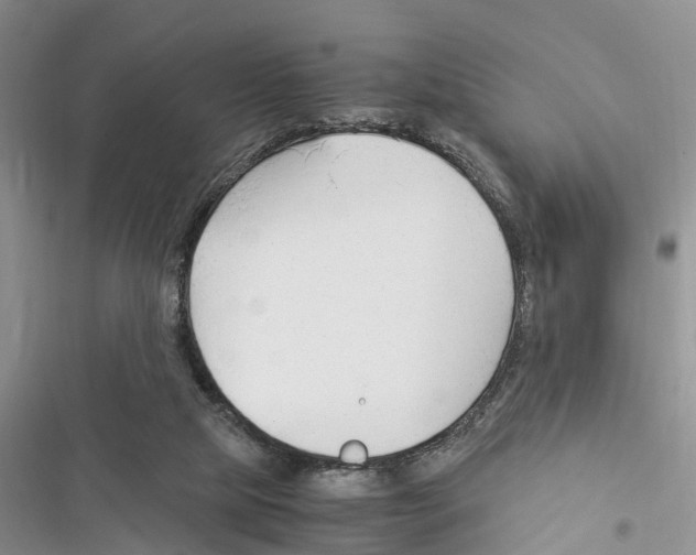 X0000116370065201001131756