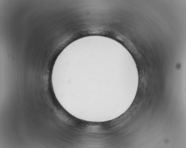 X0000116370066201001131756