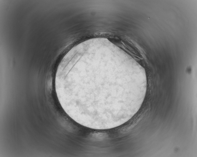 X0000116370067201001131756