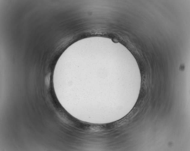 X0000116370070201001131756