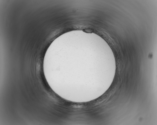 X0000116370071201001131756