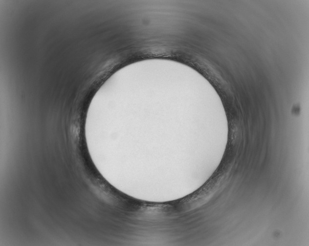 X0000116370072201001131756