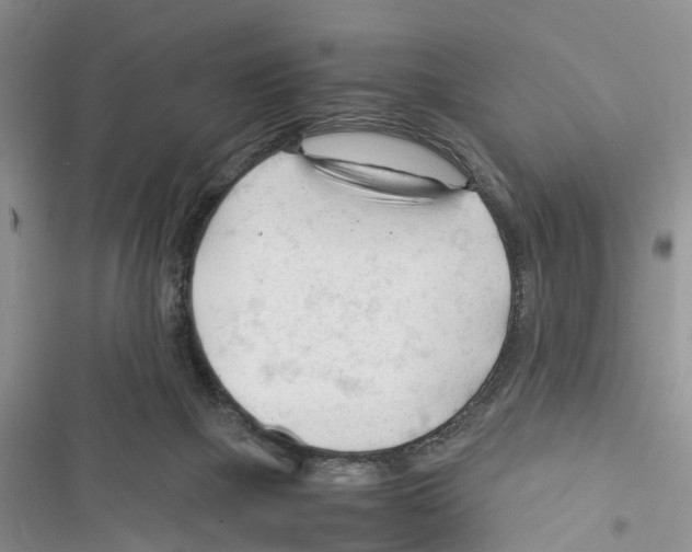 X0000116370073201001131756