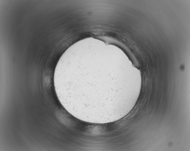 X0000116370074201001131756