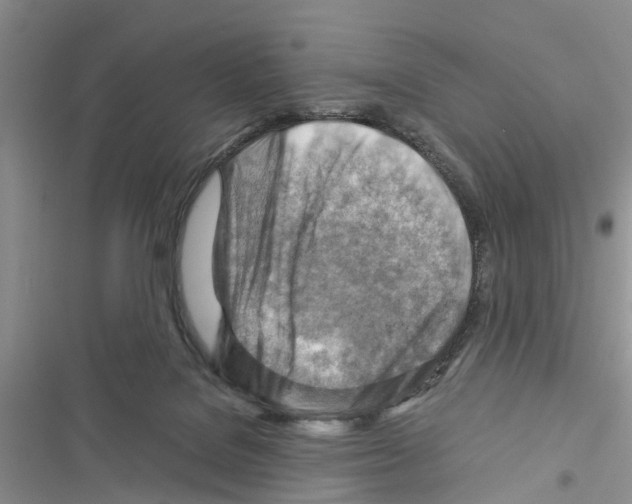 X0000116370076201001131756