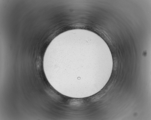 X0000116370077201001131756