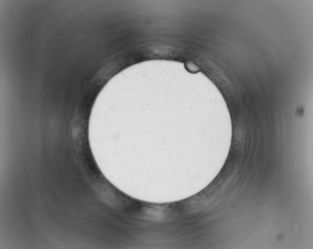 X0000116370079201001131756