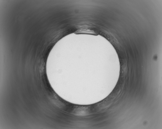 X0000116370081201001131756