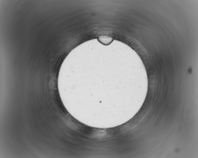 X0000116370083201001131756