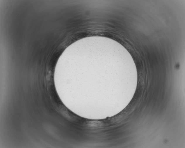 X0000116370087201001131756