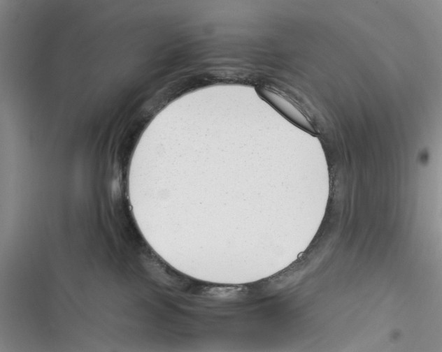 X0000116370089201001131756